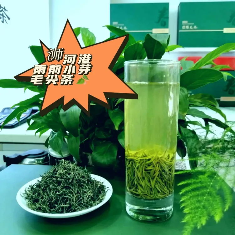 【雨前栗香小芽】信阳正宗浉河港高山毛尖茶栗香醇厚甘甜鲜爽毛尖茶