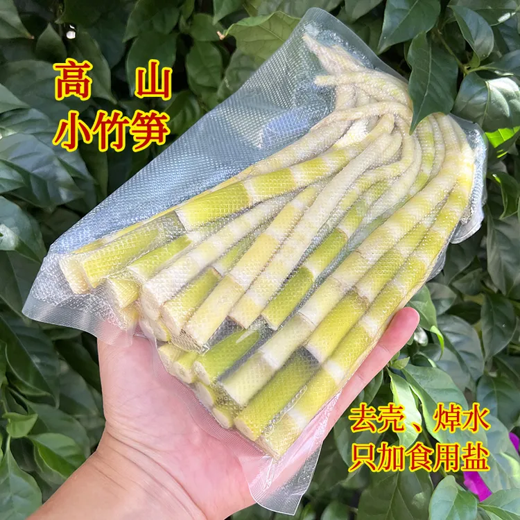贵州雷公山雷山方竹笋秋竹笋八月笋高山新鲜竹笋包邮火锅凉拌食材