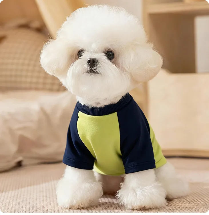 春秋款狗狗动物卫衣宠物雪纳瑞泰迪比熊约克夏狗狗衣服春秋款款