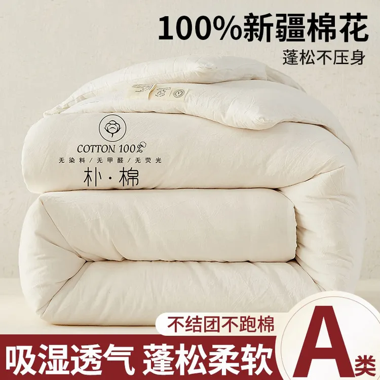 新疆棉花加厚被子被芯2025新款纯棉春秋款家用卧室单双人棉被冬被
