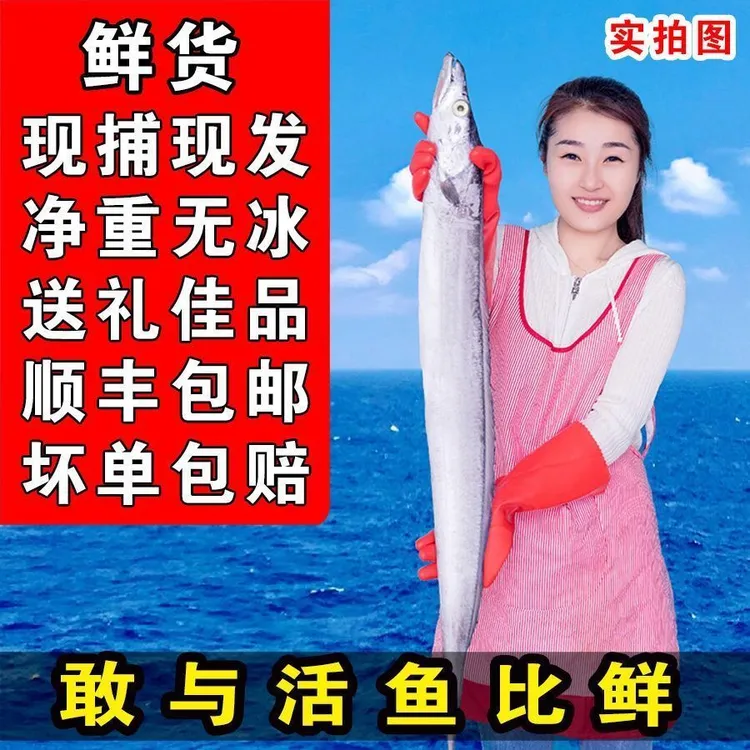 【发顺丰】带鱼特大海捕整条海钓带鱼新鲜鲜活无冰刀鱼整条大宽带鱼