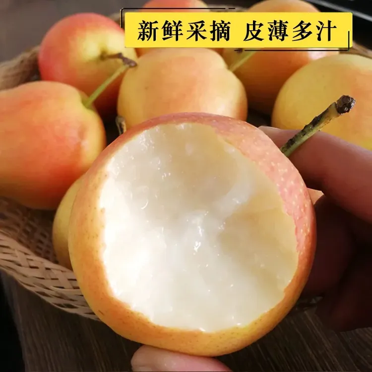 鞍山南果梨香甜多汁当季应季梨现摘现发网红水果香蕉梨