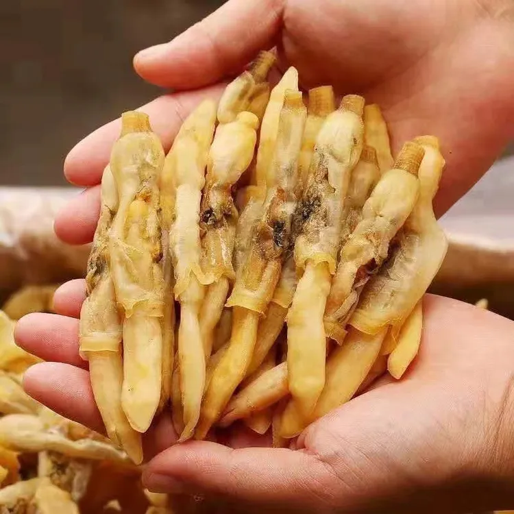 【大蛏子干】淡晒无沙大个头海蛏干竹节蛏子干蛏王干海鲜干货炒菜