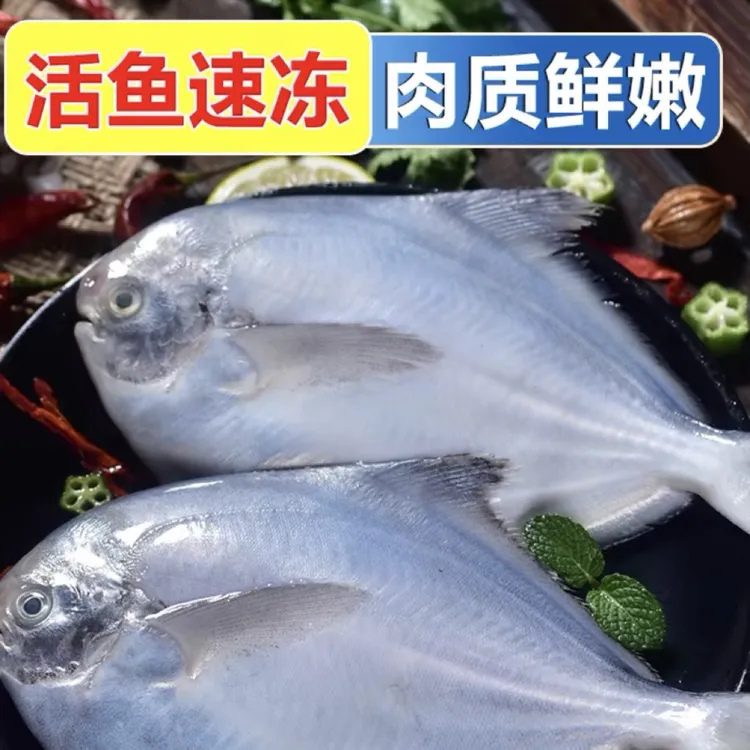 新鲜海捕野生银鲳鱼 5包5斤/5条 顺丰冷链送货上门