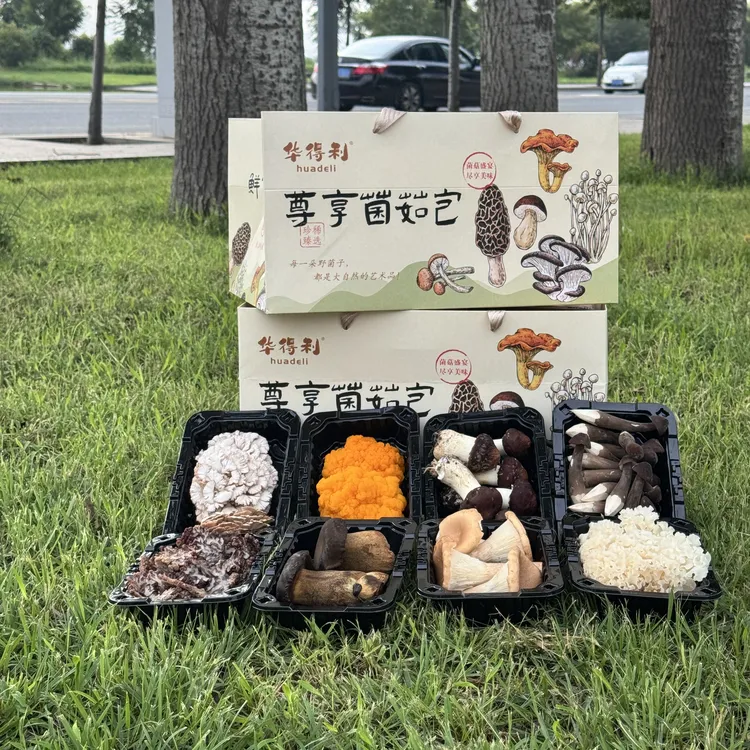 华得利 迎中秋 新鲜菌菇尊享包 精选10种时令鲜菌