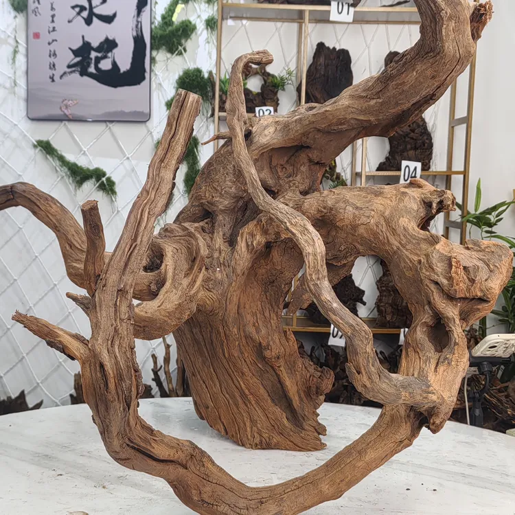 紫柚绿皮刺水族沉木会黄水部份需水泡可用于鱼缸造景