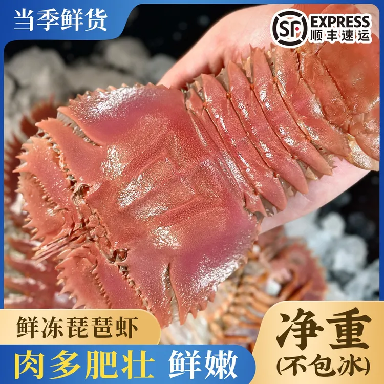 舟山琵琶虾船冻冰鲜九齿扇虾海鲜虾姑特大濑尿虾生鲜深海冷冻爬虾
