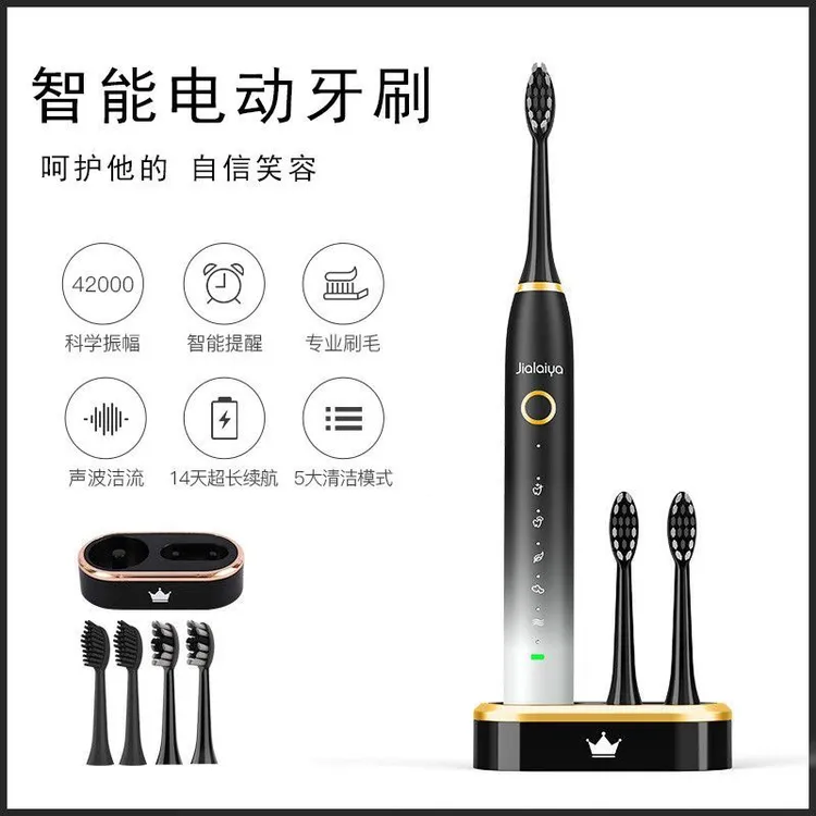 拉萨发货西藏包邮声波电动牙刷成人便携式软毛充电款可换刷头防水
