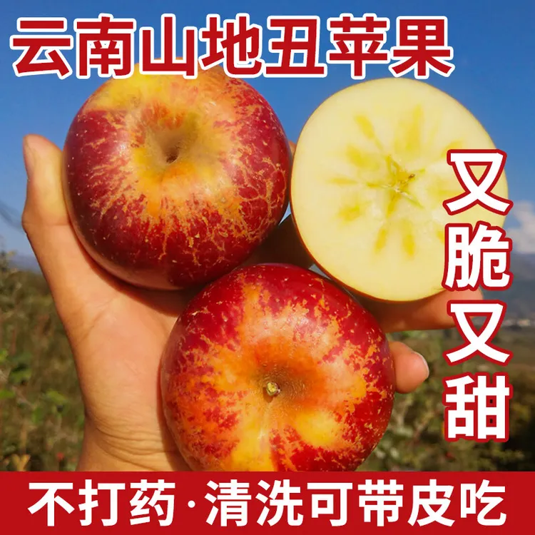 云南高山昭通冰糖心丑苹果红露红富士平果新鲜当季果园现摘现发