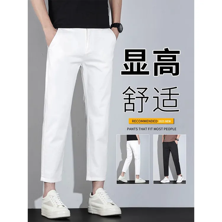 Leekody香港高端轻奢弹力休闲裤男款秋季商务休闲百搭外穿九分裤