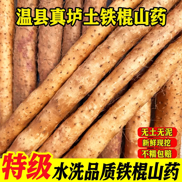 【水洗60-70cm】正宗铁棍山药新鲜软糯香甜营养滋补健脾养胃农家菜