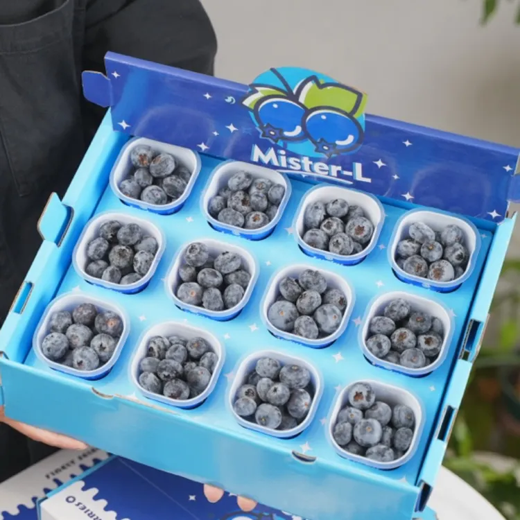 林烁严选 秘鲁宝宝杯蓝莓 18mm+ 脆甜花香 顺丰包邮