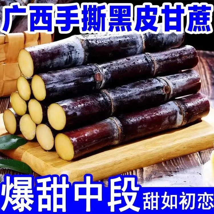 【25年当季】正宗广西黑皮甘蔗新鲜现砍现发脆甜手撕黑皮甘蔗多汁