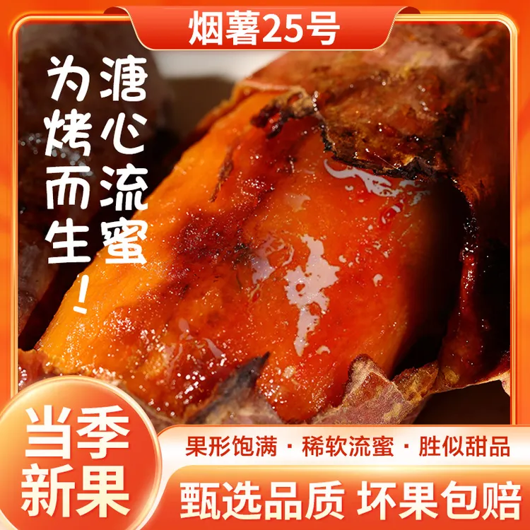 【坏果包赔】烟薯25号5斤沙地红薯新鲜蜜薯地瓜香甜软糯烤红薯皮薄