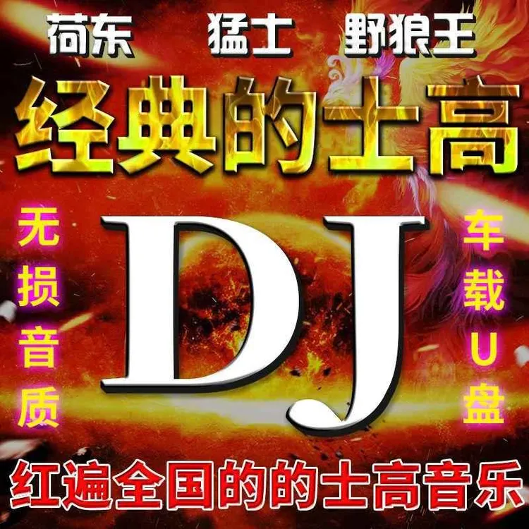 荷东猛士舞曲U盘8090年代溜冰场夜场酒吧经典的士高系列全集USB随