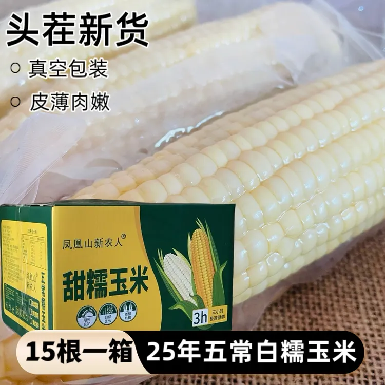 25年五常头茬白糯玉米 15根一箱 大棒新鲜真空玉米
