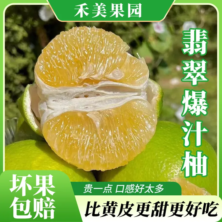 当季头茬爆汁翡翠青柚绿宝石青皮葡萄柚子黄肉蜜柚新鲜孕妇水果