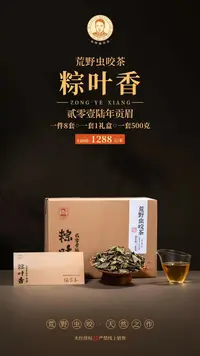 柏柳梅伯珍虫咬茶粽叶香福鼎白茶2016年贡眉500克