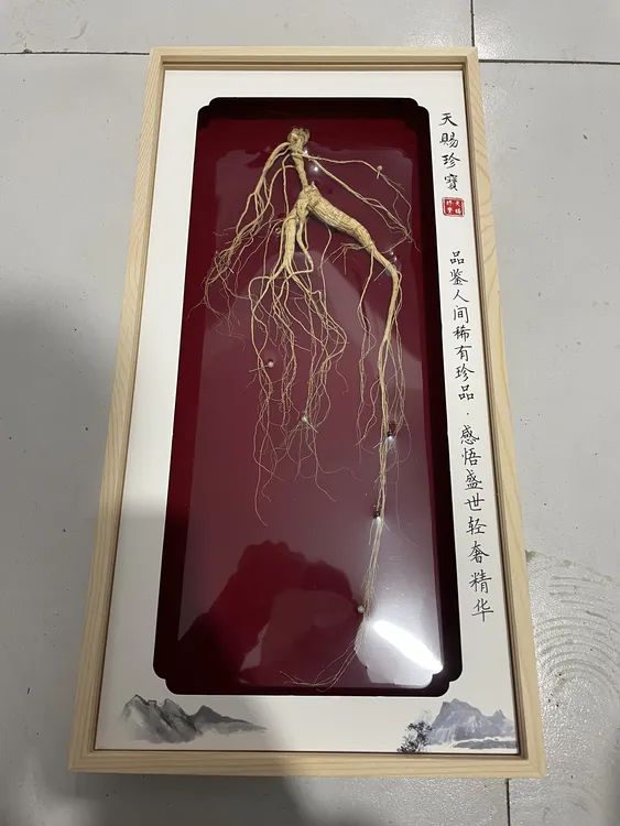 桓仁野山参源头高品质高年头老货可煲汤泡酒煮水滋补送礼