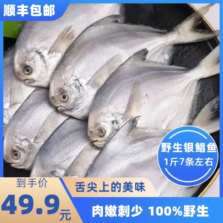 银鲳鱼平鱼5斤30条左右纯野生海捕冷冻非鲜非大号