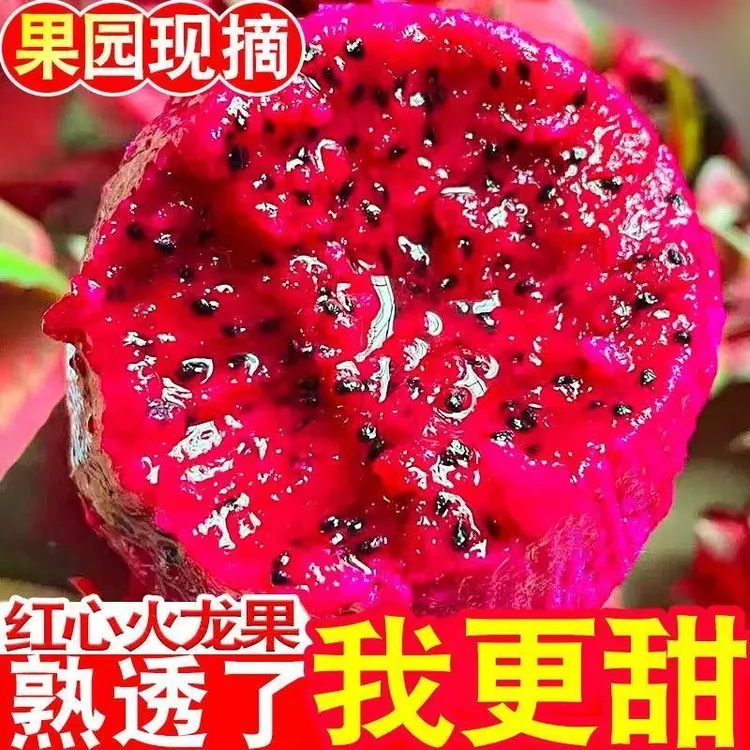 云南金都一号红心火龙果现摘现发鲜甜多汁当季到手4-8个