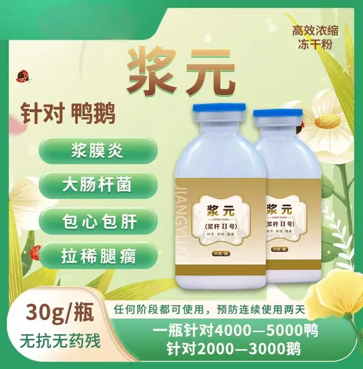 【浆元】升级版冻干粉 鸭鹅饮水浆膜炎大肠杆菌 腿软瘫痪 摇头晃脑