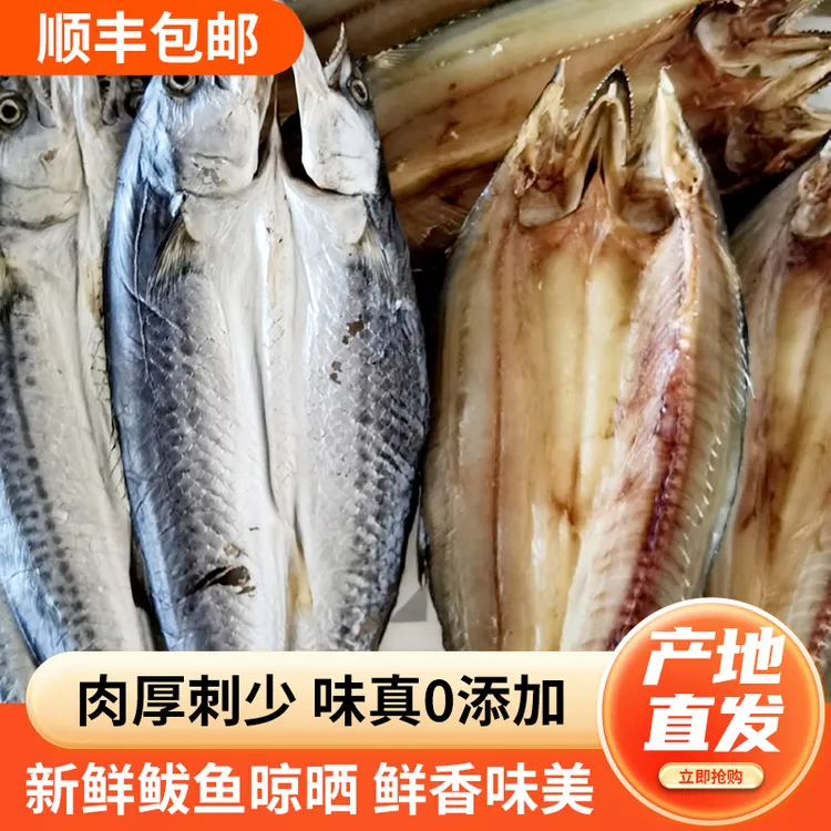 山东石岛一卤鲜燕鲅鱼干自然晾晒肉质厚实无碎刺原味锁鲜