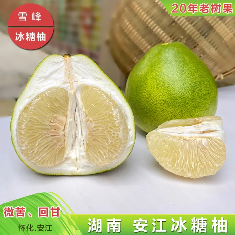 湖南安江雪峰冰糖柚老树果香柚怀化土柚子麻麻柚小苦柚大微苦回甘