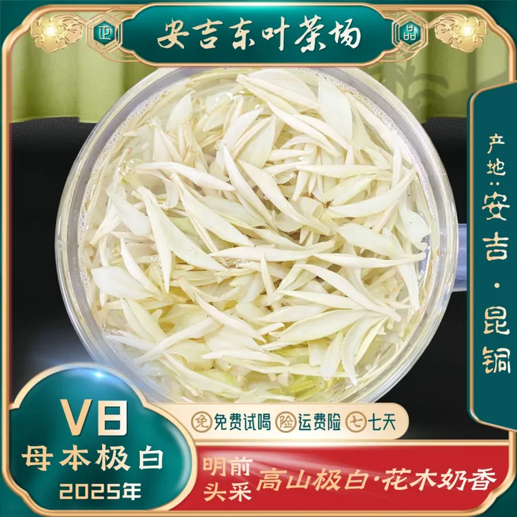 【老丛极白V8】2025新茶特级正宗安吉白茶昆铜新安四号浓郁檀木奶香
