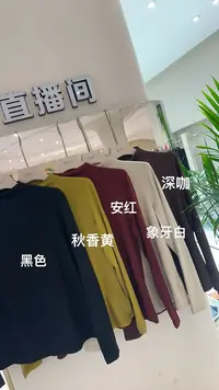高端时尚气质百搭打底上衣8539