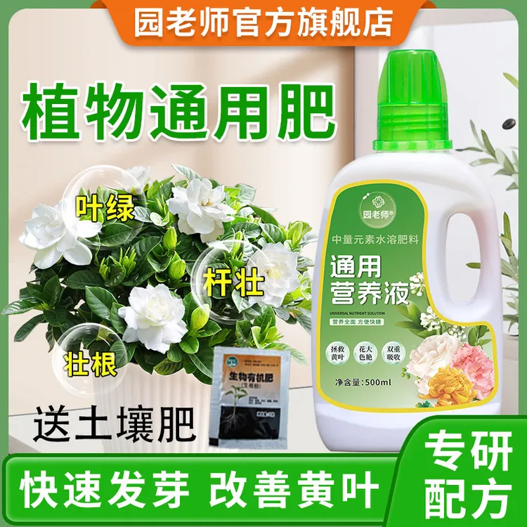 【丽丽专属】买1发2 园老师通用植物营养液浓缩型