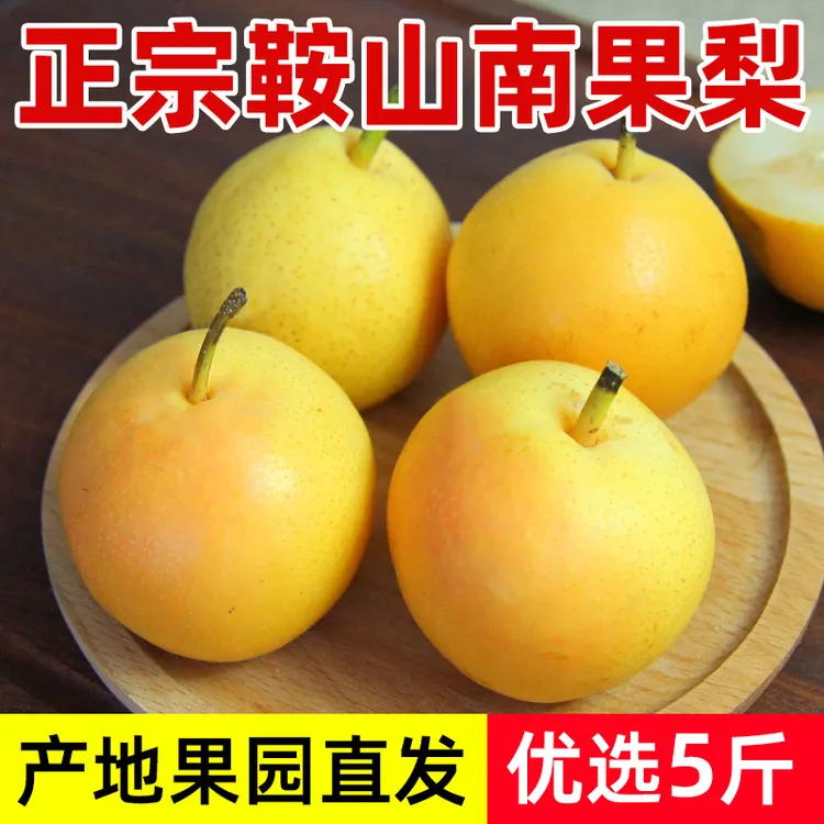 鞍山南果梨5斤包邮正宗海城南国梨子新鲜水果香水酒香味浓