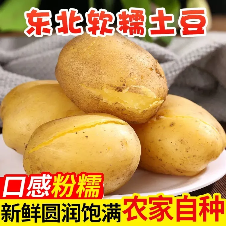 2025黑龙江正宗东北黄皮土豆马铃薯黄心土豆批发洋芋蔬菜整箱