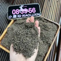果香六堡茶 小鹿收茶 黑茶 六堡茶  9月17
