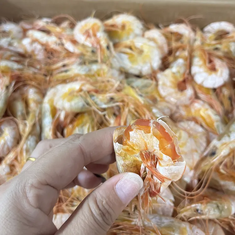 广东汕尾港活晒野生大卢虾干沙卢虾即食虾干