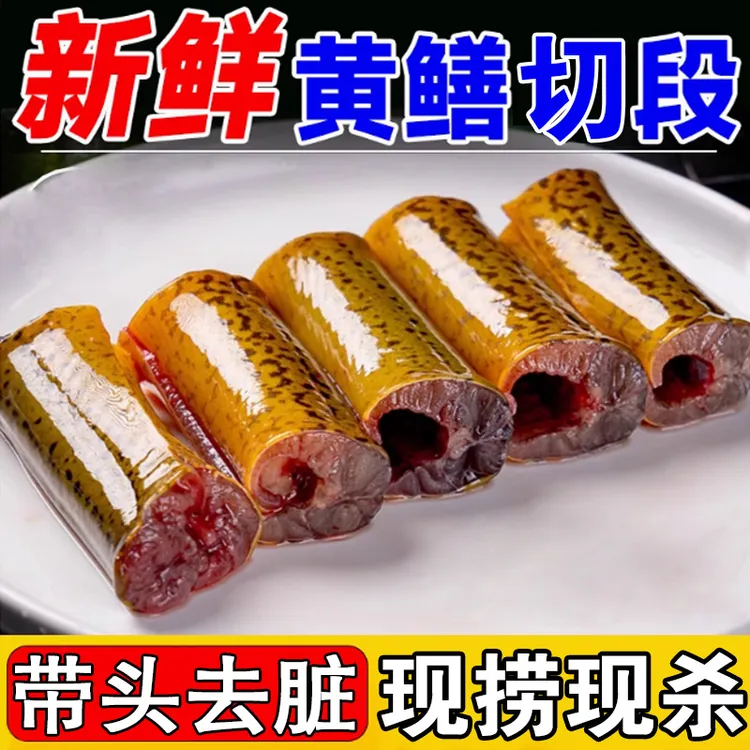 土黄鳝鱼段新鲜去内脏原生态鳝鱼段炖骨煲汤鳝【下单送蛙肉10只】