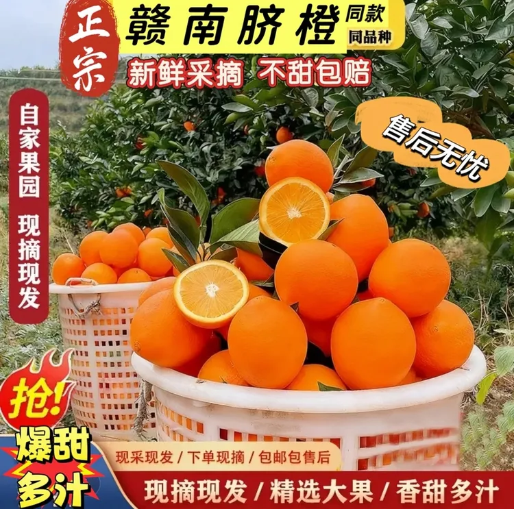 正宗赣南脐橙同款新鲜橙子当季水果手剥果冻橙冰糖甜橙秭归纽荷尔