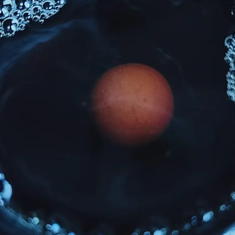 炁玄宫·五炁朝元•正炁宝（冷香珠•1粒装）三平祖师公祖居制