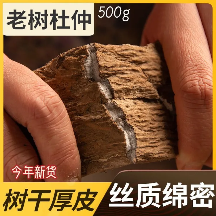 秦岭老树杜仲深山采收无硫杜肿泡酒煮水泡水煲汤专用