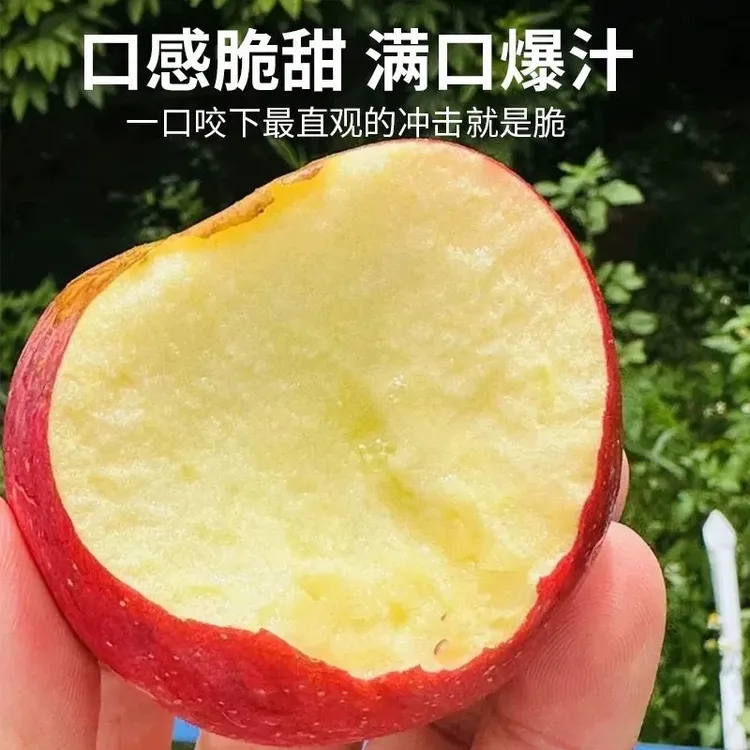 正宗云南高原红露苹果新鲜现摘脆甜多汁3.5-8斤礼盒装果园直发