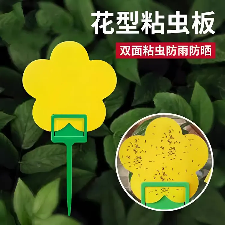 花型诱虫板强力双面粘虫板小黑飞粘虫纸家用黄色果蝇诱虫板诱捕器