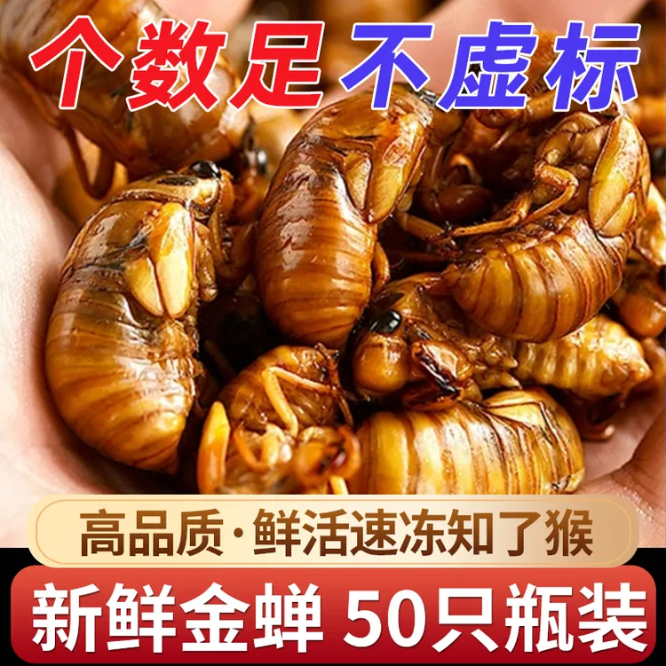 新鲜金蝉50只鲜活速冻知了猴山东特产高营养高蛋白2025年顺丰包邮