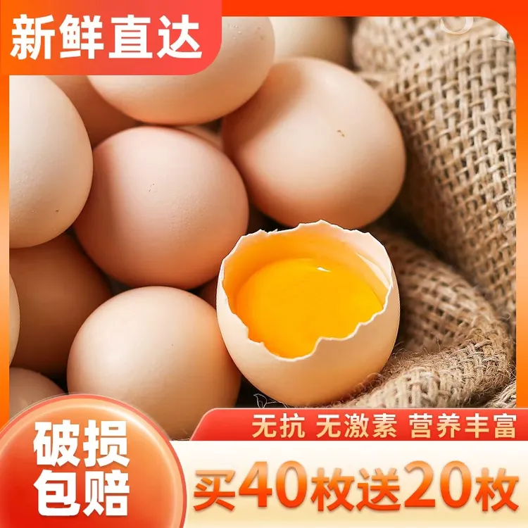 岗淮【买40枚送20枚】农家散养土鸡蛋新鲜发货 产地直发  45±5g /枚