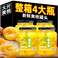【到手整箱4大罐】黄桃罐头整箱玻璃罐水果罐头砀山特产510g/罐