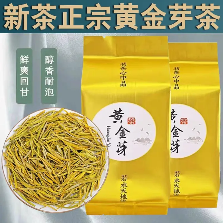新茶黄金芽毛峰新款茶叶绿茶浓香型豆香原产地送礼茶香浓郁高山茶