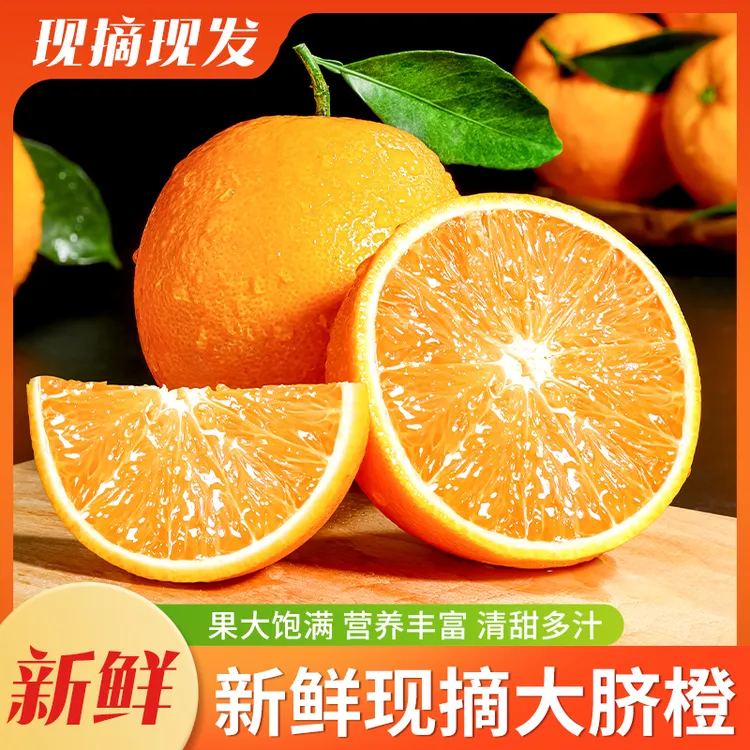 重庆奉节产地庆香姐脐橙果园直发五斤十斤装大果脐橙果园现摘现发