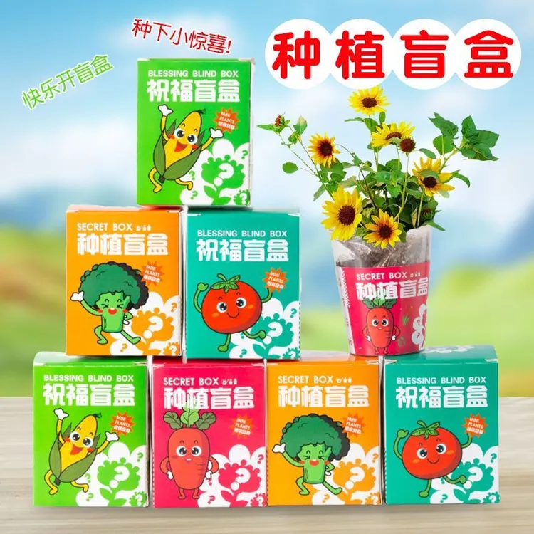 宝宝种植盲盒盆栽观察植物diy幼儿园学生儿童开学礼物全班小礼品