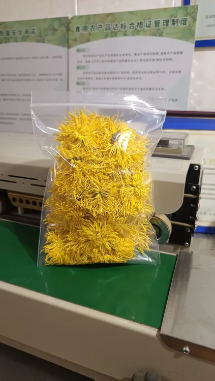 金丝皇菊菊花茶一朵一杯搭配枸杞玫瑰花茶