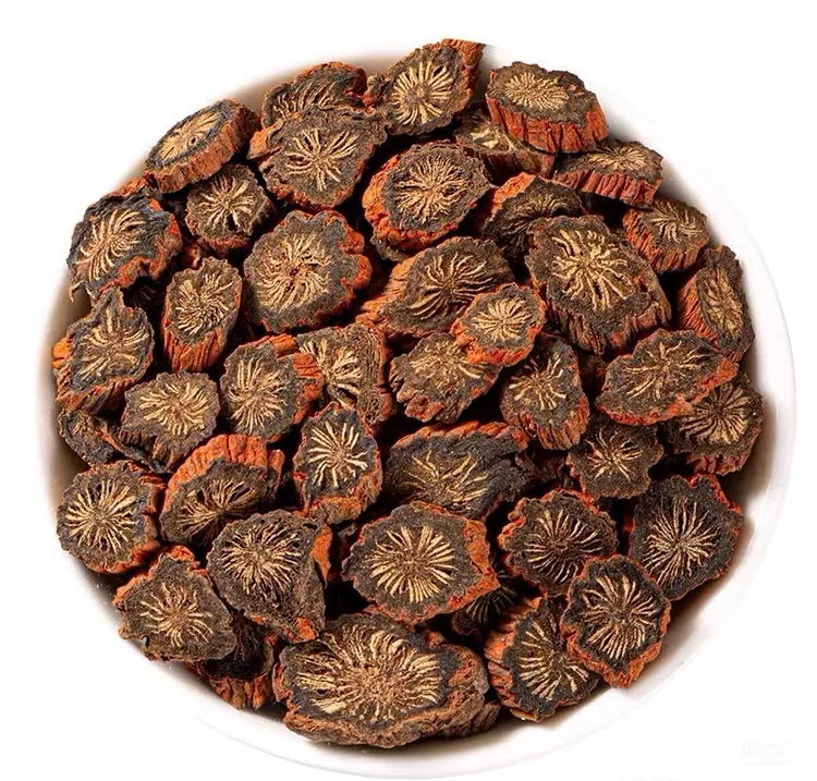 甘肃秦岭大山里野生发汗紫皮丹参