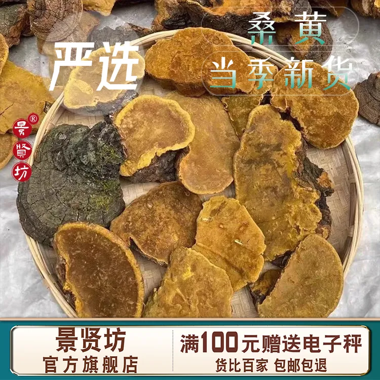 正宗西藏桑树桑黄泡水煮水有功效的黄灵芝特选黑野生林芝赤灵芝